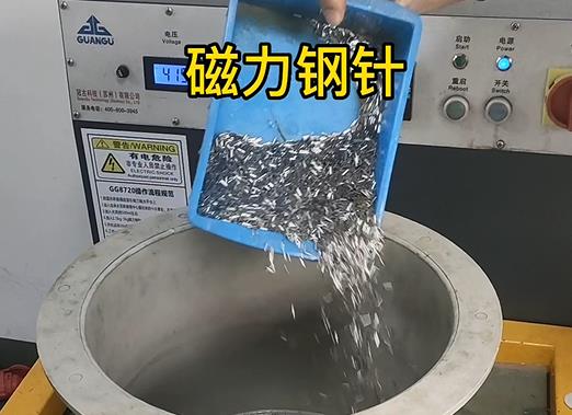 適合鋅合金玩具車外殼的磁針 適合鋅合金玩具車外殼的磁針